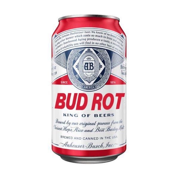 importshop24 Bud Rot Bier